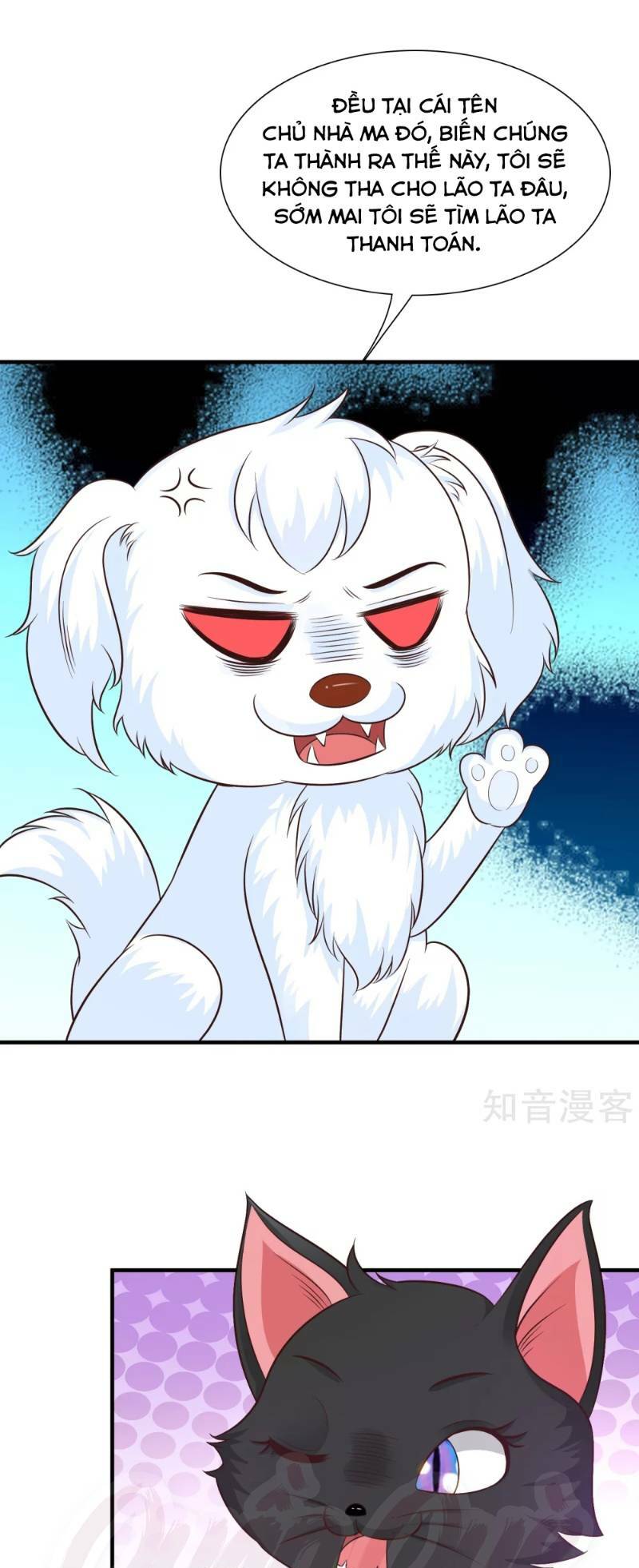 Tối Cường Vận Đào Hoa: Chapter 79