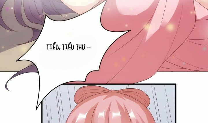 Đô đốc đại nhân sủng thê kí: Chapter 11.2
