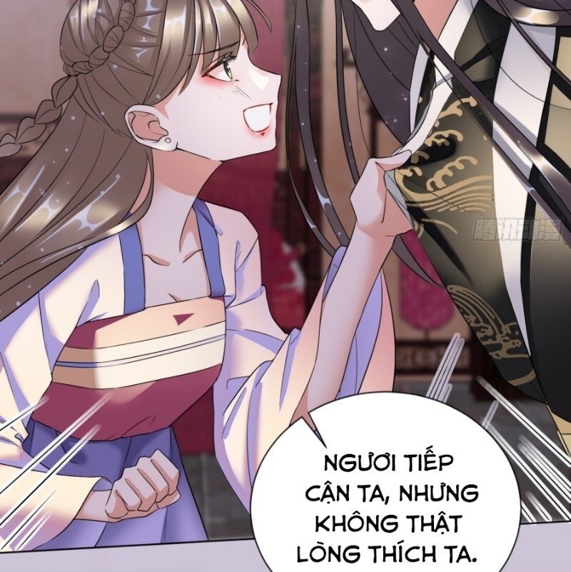 Công Lược Trưởng Thành Của Vương Phi: Chapter 11