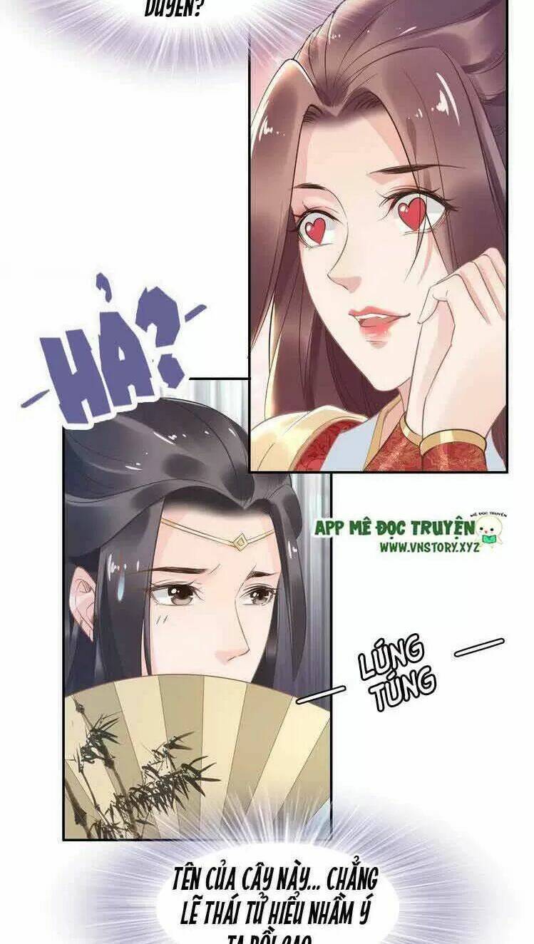 Nhất Sinh Nhất Thế Tiếu Thương Khung: Chapter 27