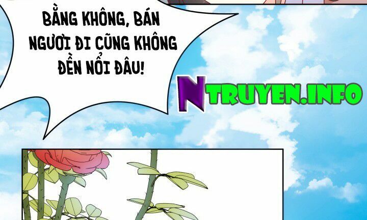 Đô đốc đại nhân sủng thê kí: Chapter 1.6