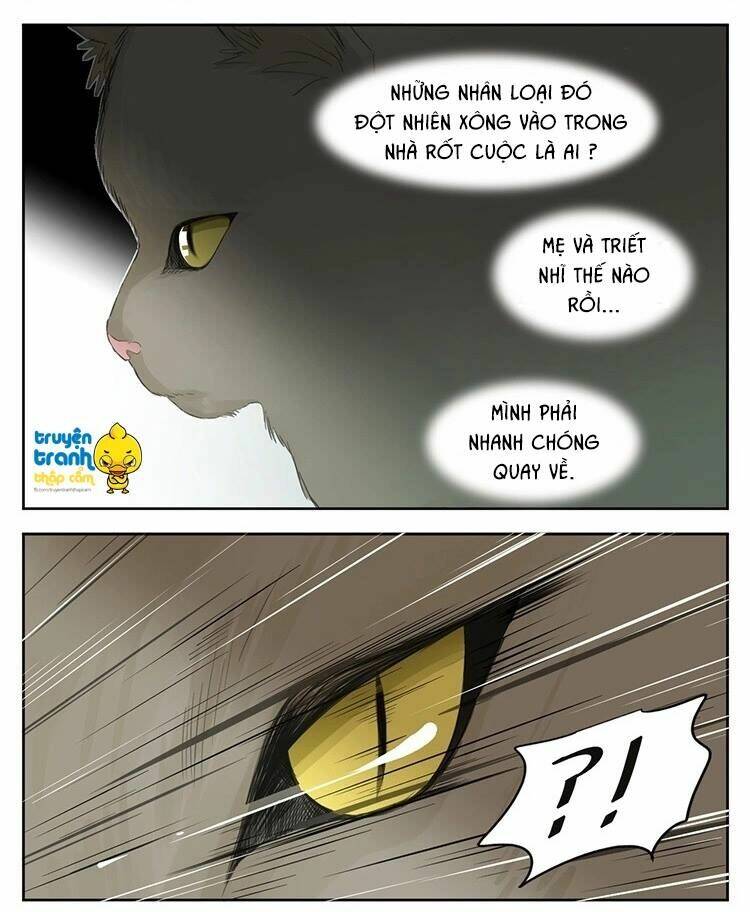 Cứu Mạng! Loài Mèo Thống Trị Thế Giới Rồi!: Chapter 24