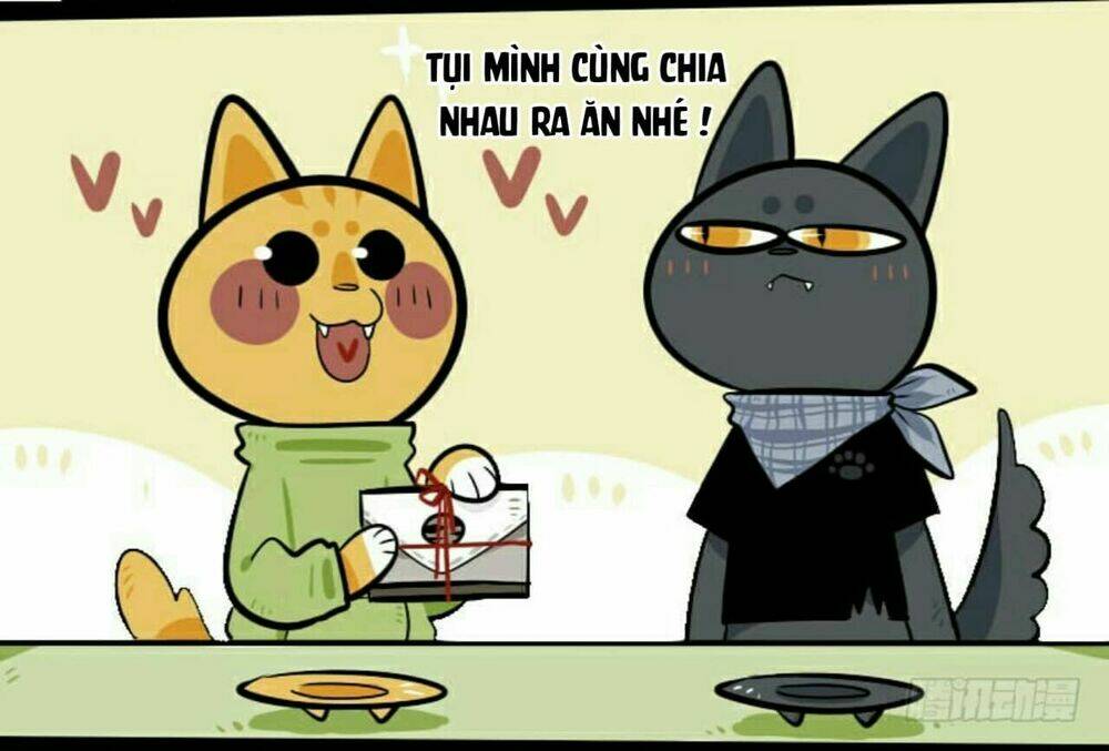 Đời Không Như Mình Tưởng: Chapter 8