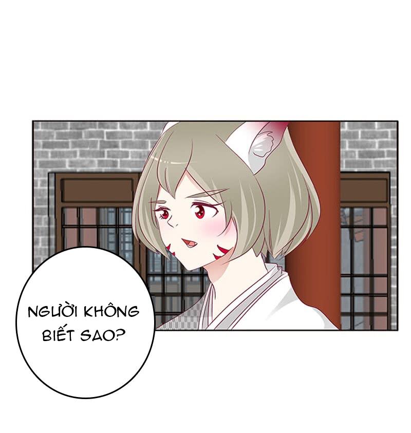 Thông Linh Phi: Chapter 320