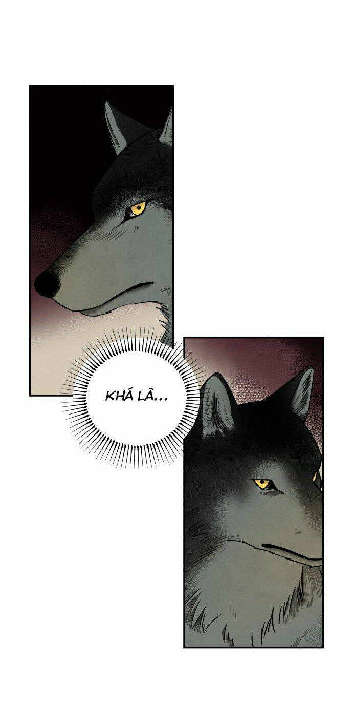Tai Sói Và Mũ Đỏ: Chapter 38