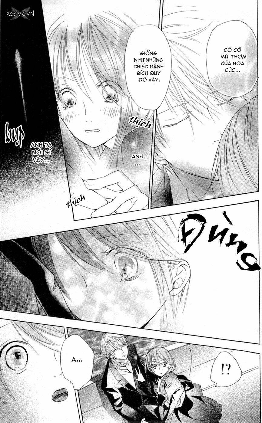 Bá Tước Và Tiên Nữ: Chapter 11