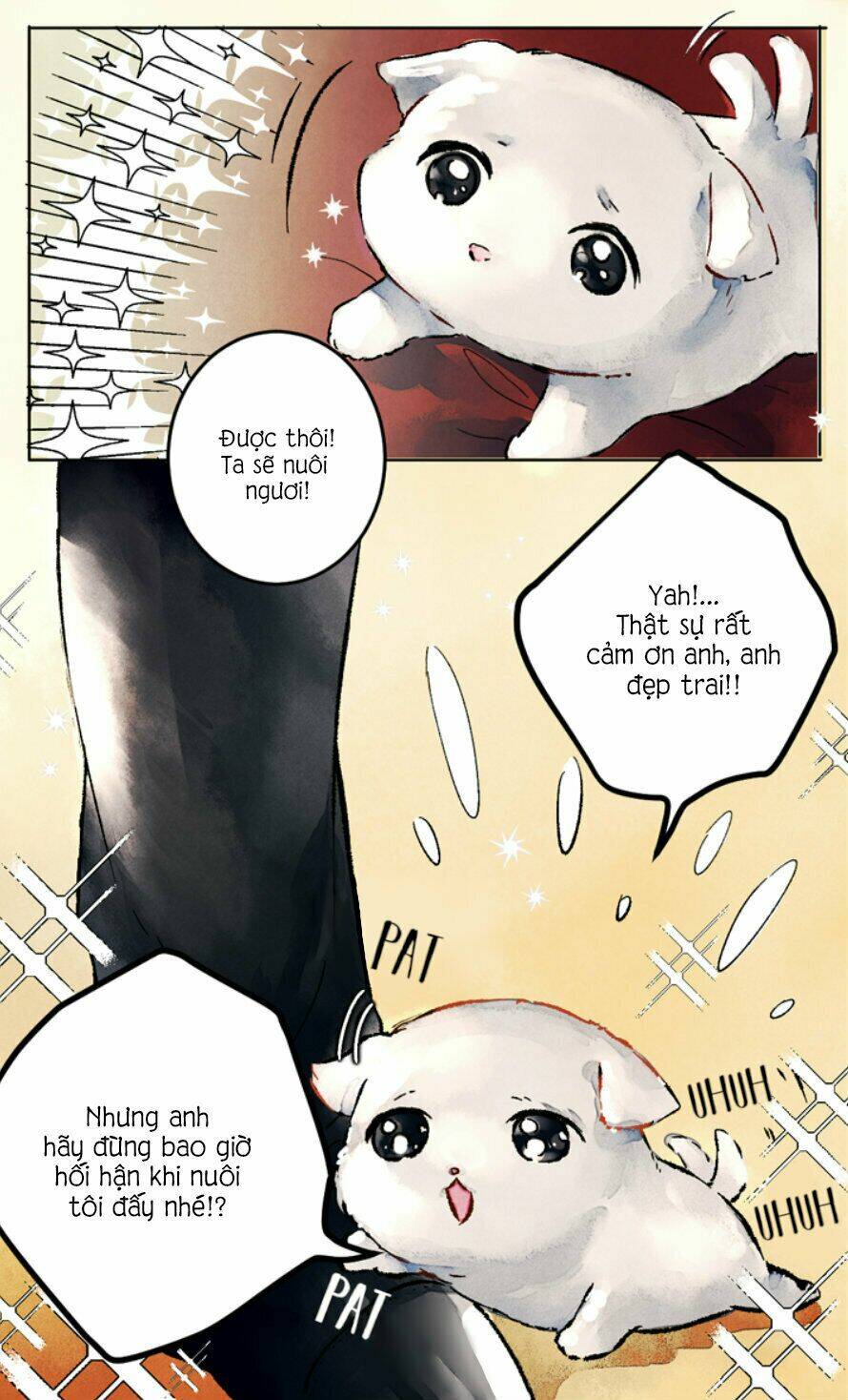 Cún Con Đáng Yêu Của Vị Hoàng Đế!: Chapter 0