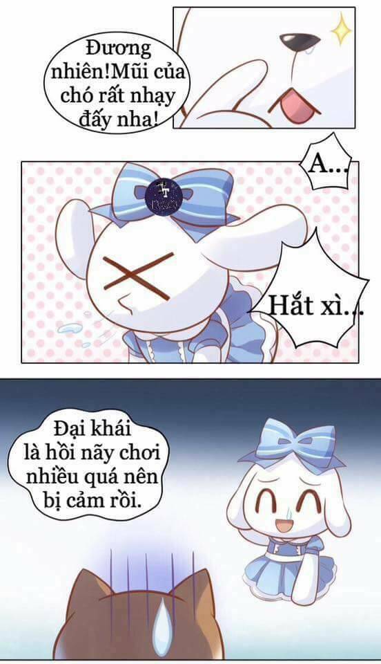 Dưới Móng Vuốt Mèo: Chapter 8