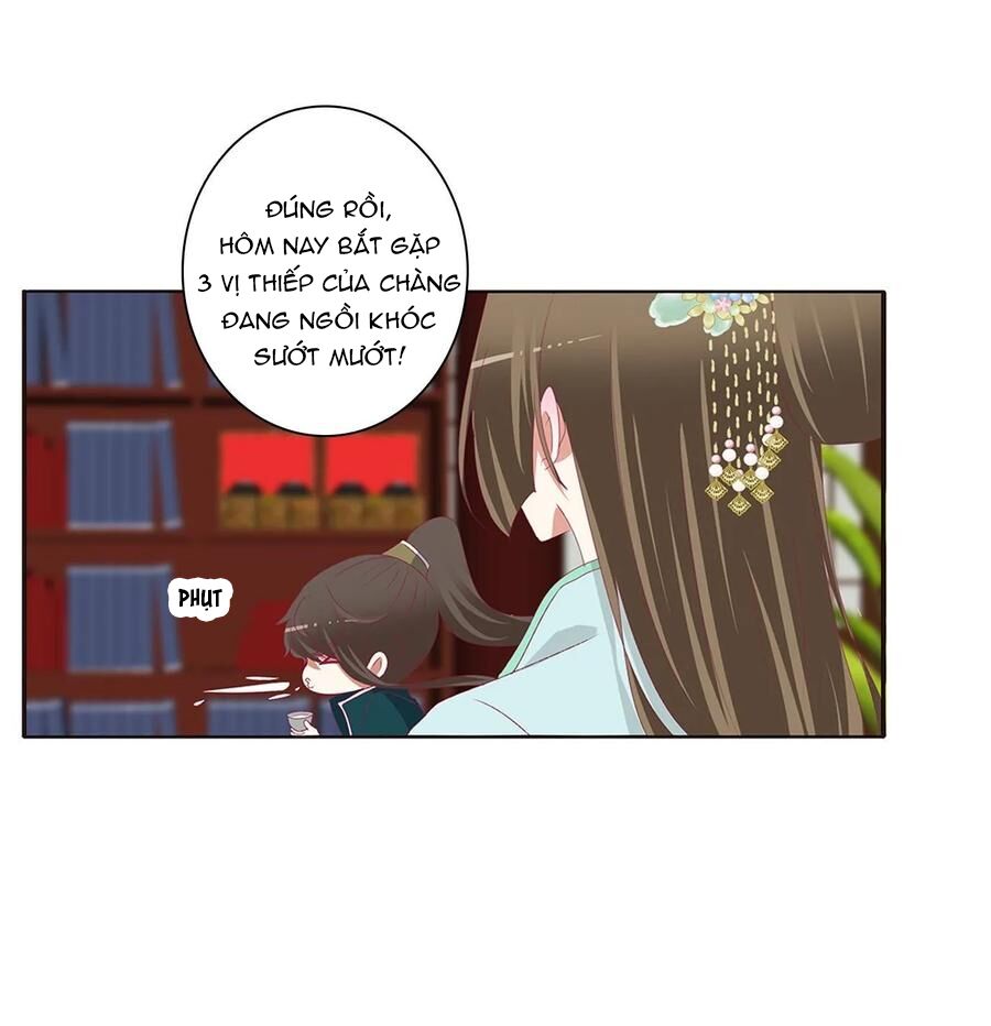 Thông Linh Phi: Chapter 608