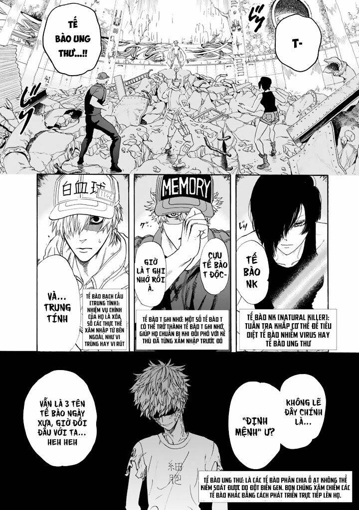 Hataraku Saibou!: Chapter 24