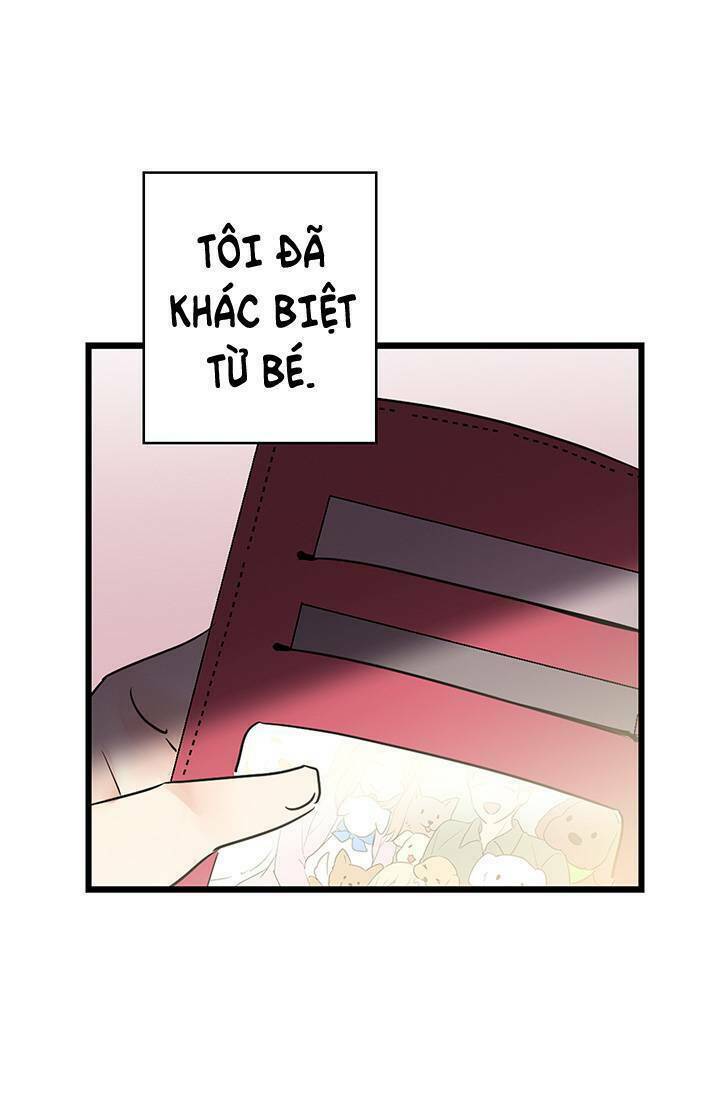 Cô Dâu Của Miêu Hoàng Tử: Chapter 1