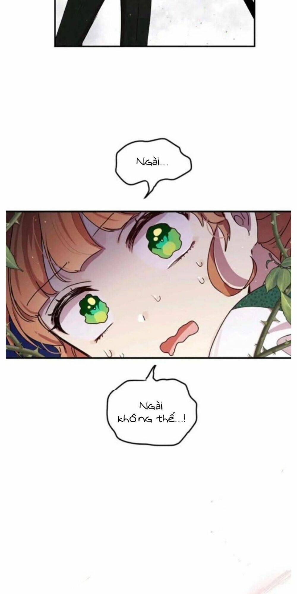 Công Tước, Loạn Vừa Thôi!: Chapter 94