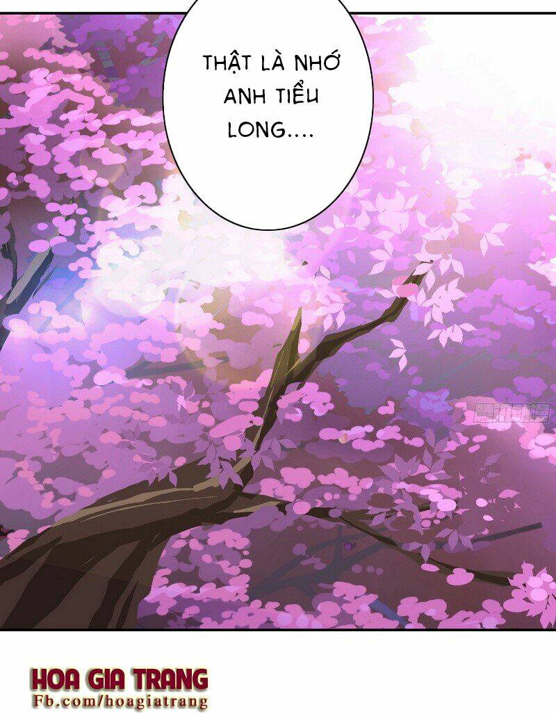 Phục Thù Thiếu Gia Tiểu Điềm Thê: Chapter 19