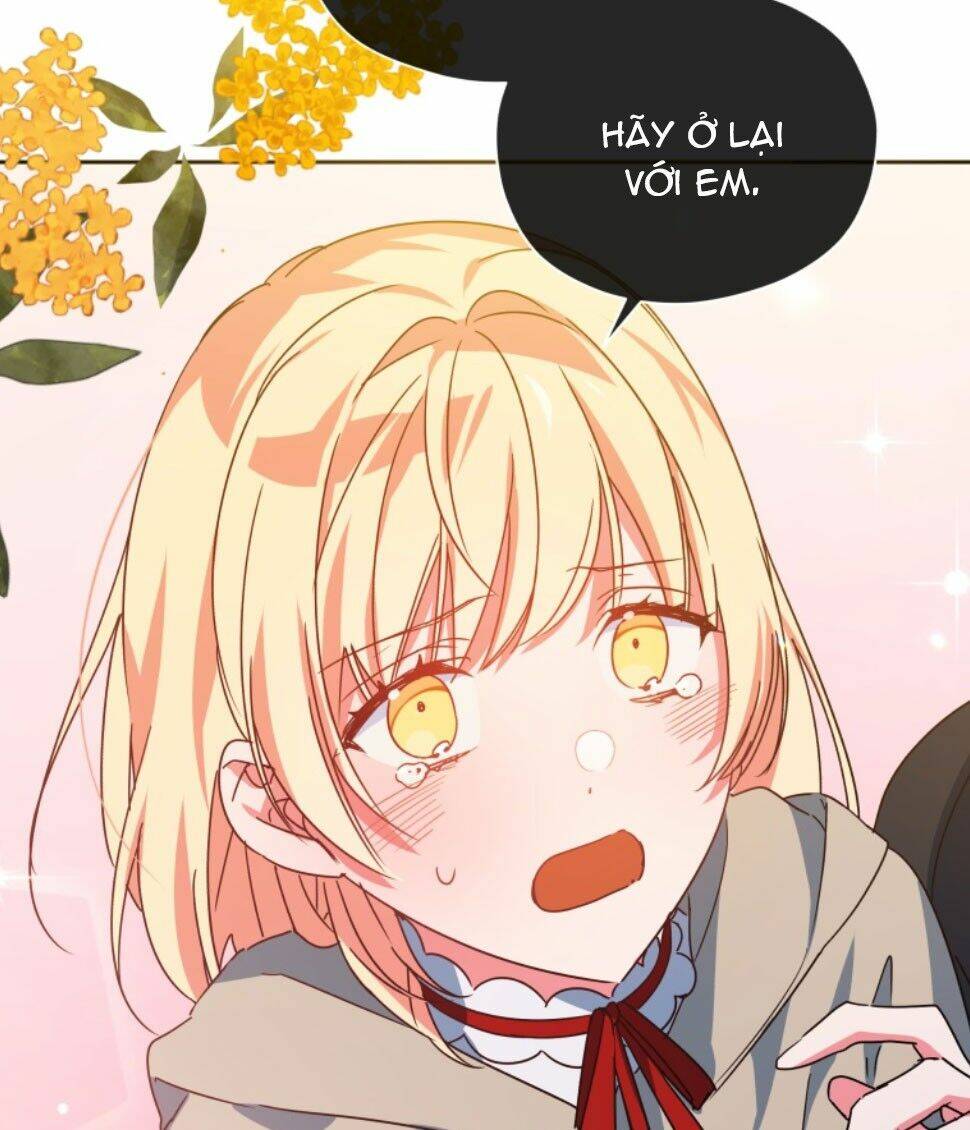 Nàng Elizabeth Thuần Khiết: Chapter 36