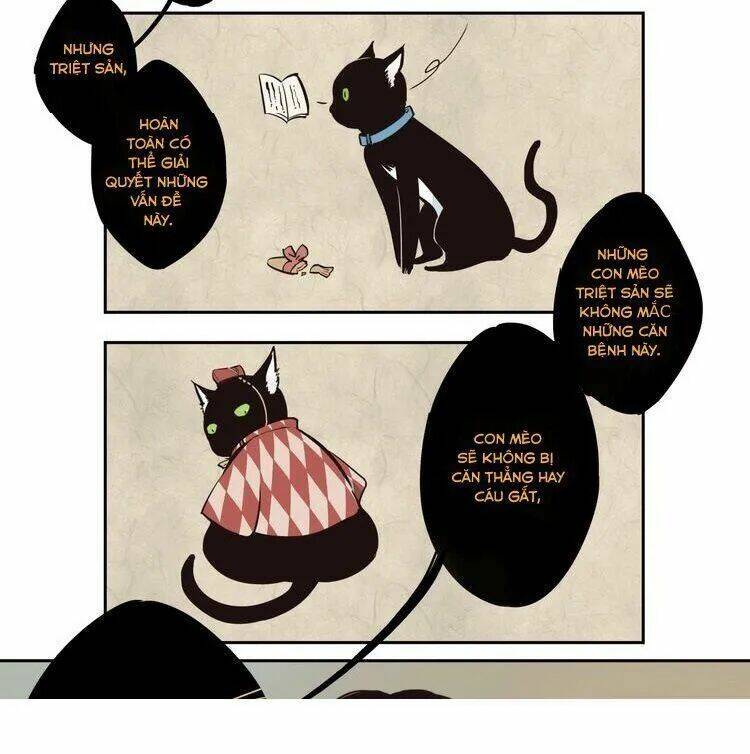 Thời Khắc Ấy, Chúng Ta Gặp Nhau: Chapter 11