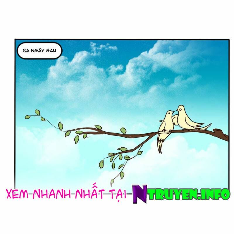 Thông Linh Phi: Chapter 51