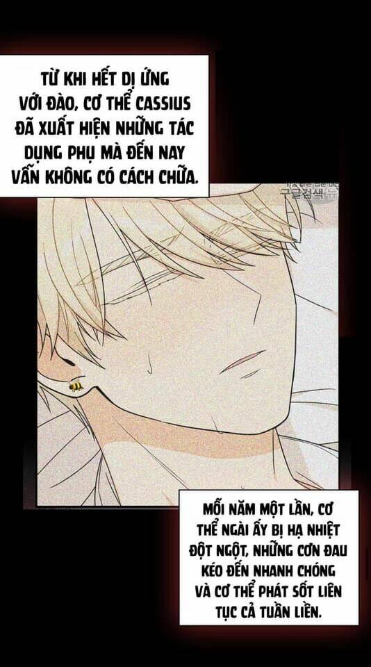 Xuyên Không Trở Thành Mami Phản Diện: Chapter 30