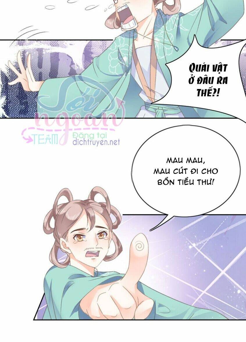 Tang Lạc Túy Tại Nam Phong Lý: Chapter 48