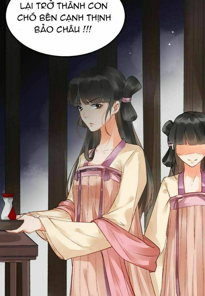 Thịnh Sủng Kiều Nữ Trở Về Triều Ca: Chapter 2