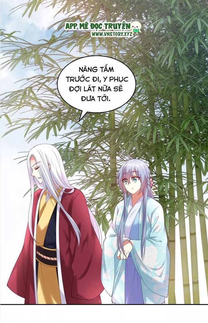Đô đốc đại nhân sủng thê kí: Chapter 56: Hay là cùng ngâm ôn tuyền nhỉ