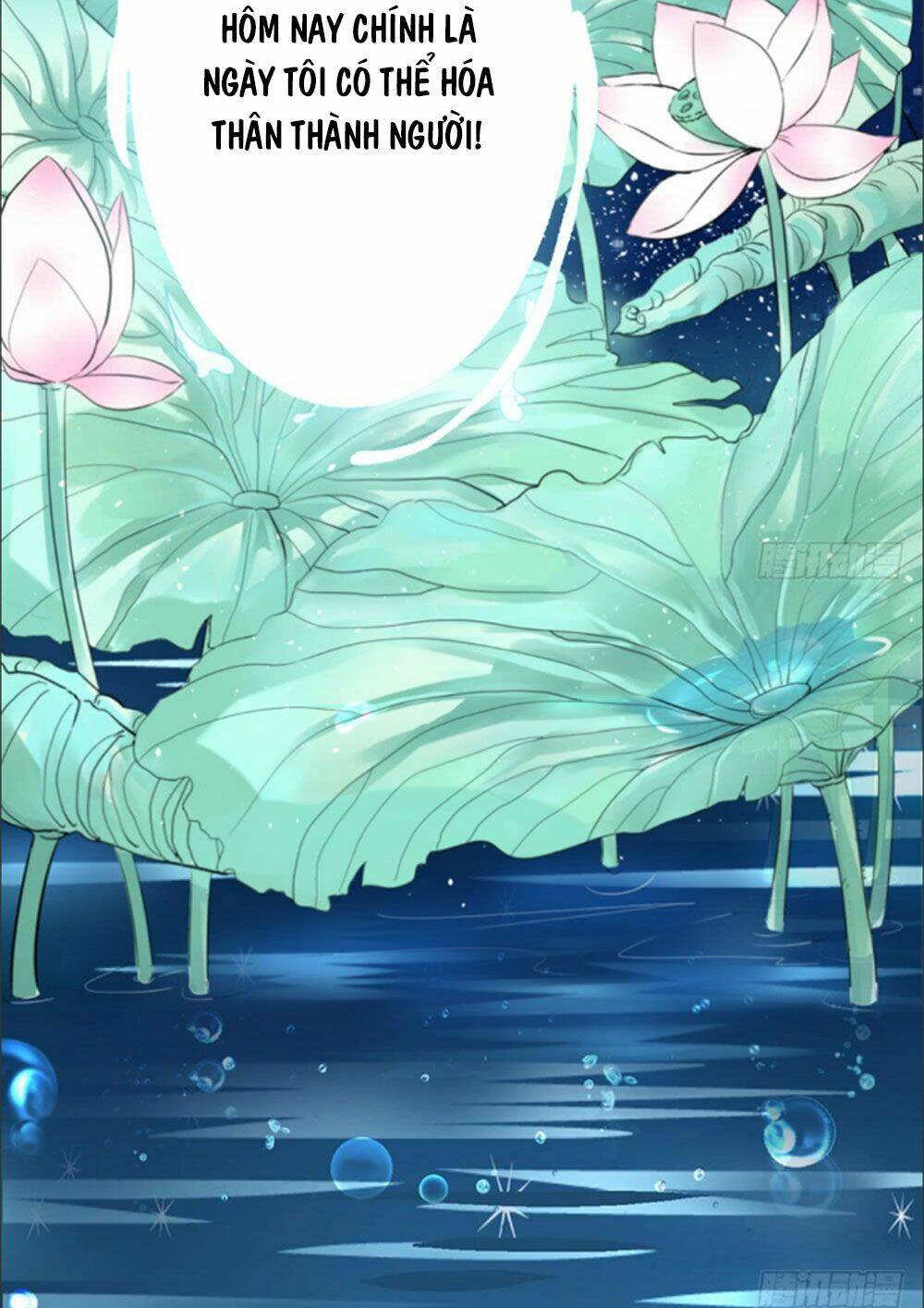 Cẩm Lý Thiếu Nữ Của Tôi: Chapter 1