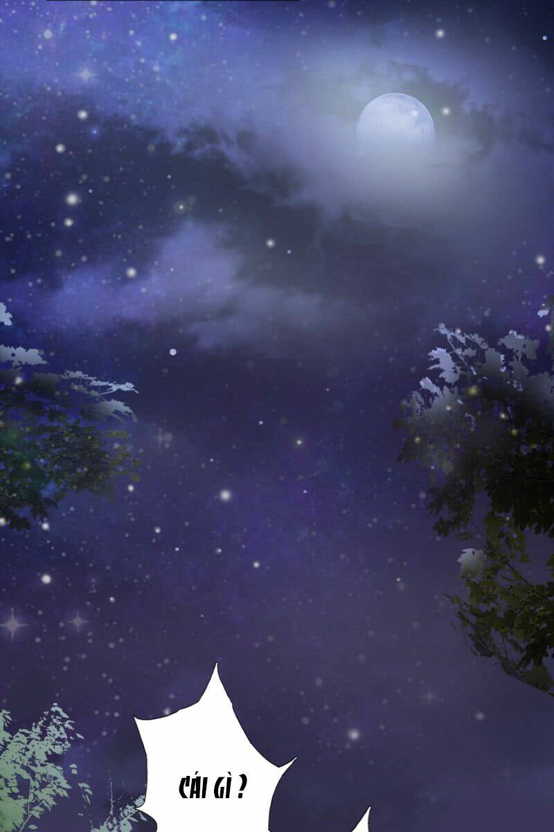 Solo Đi Vương Gia: Chapter 95