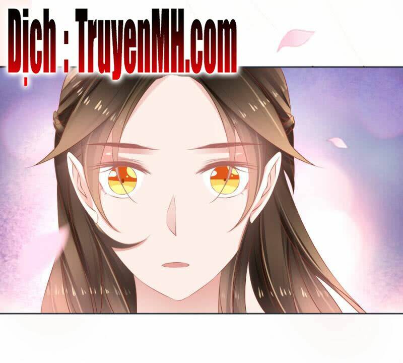 Solo Đi Vương Gia: Chapter 127