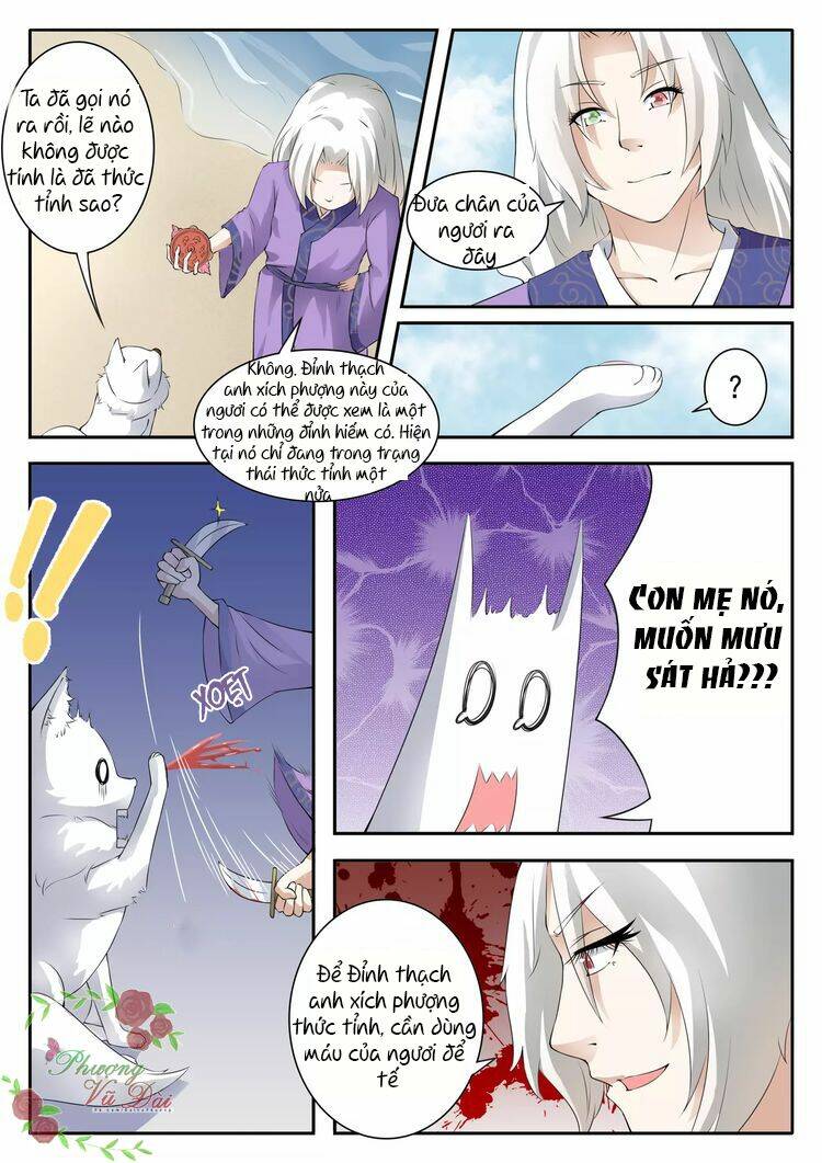 Sủng Hồ Thành Phi: Chapter 26