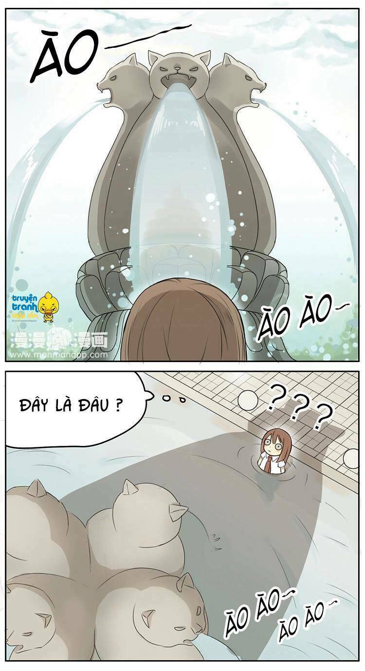 Cứu Mạng! Loài Mèo Thống Trị Thế Giới Rồi!: Chapter 2