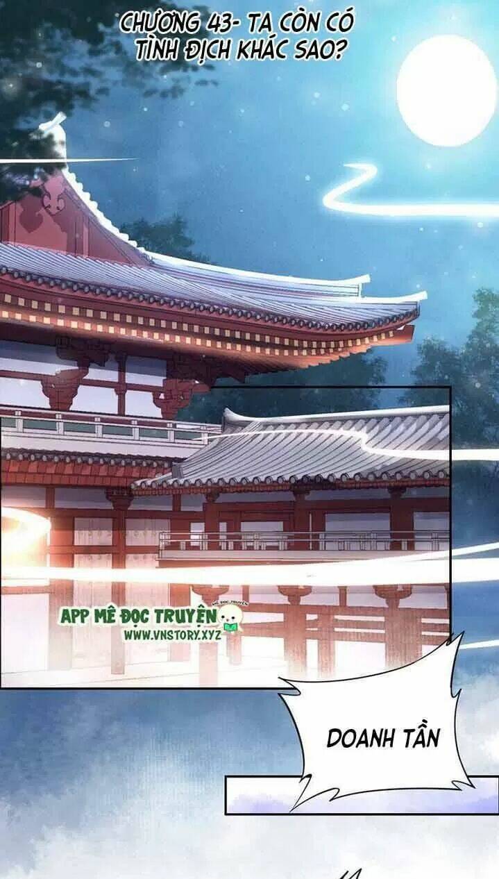 Nhất Sinh Nhất Thế Tiếu Thương Khung: Chapter 43