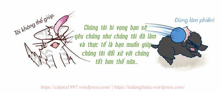 My Young Cat And My Old Dog: Chapter 9