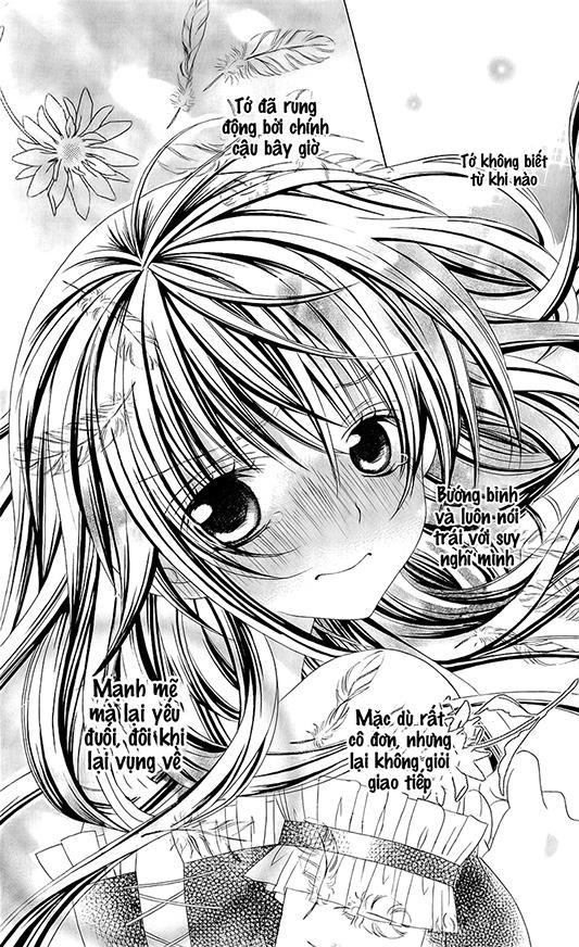 Mình Thích Cậu Đó, Suzuki: Chapter 57