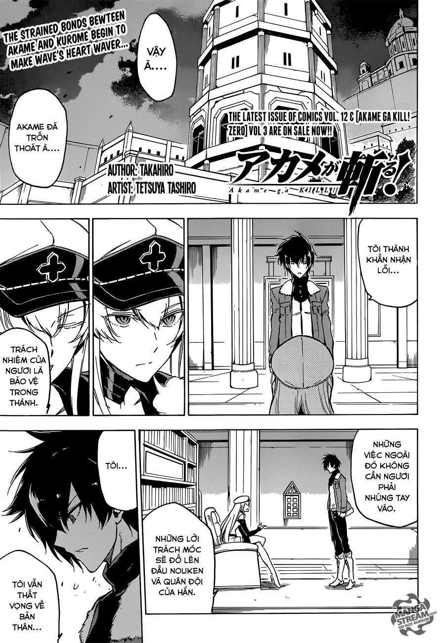 Akame Ga Kiru: Chapter 63