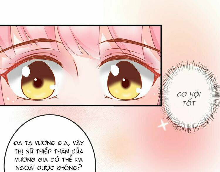 Báo Cáo Vương Gia, Vương Phi Là Một Con Mèo: Chapter 4