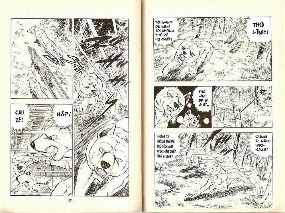 Chú Chó Có Nghĩa - Ginga Nagareboshi Gin: Chapter 19