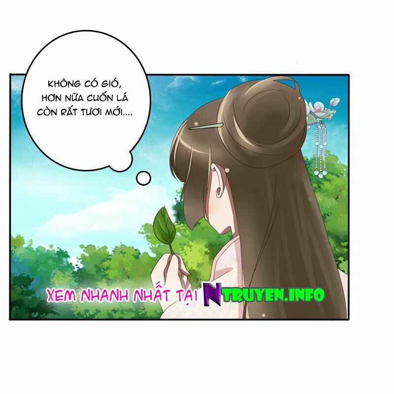 Thông Linh Phi: Chapter 83.5