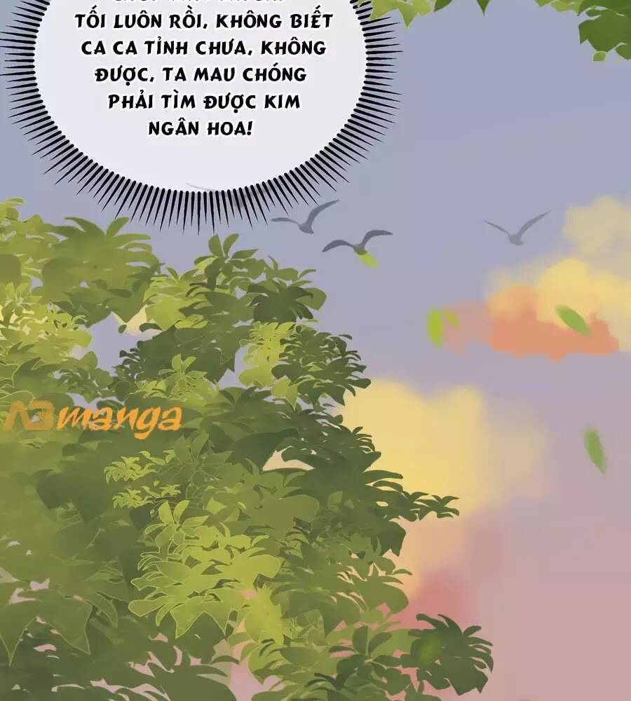 Trọng Sinh Chi Đích Nữ Bất Thiện: Chapter 8