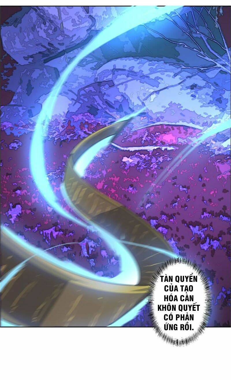 Ta Luyện Dược Thành Thánh: Chapter 22