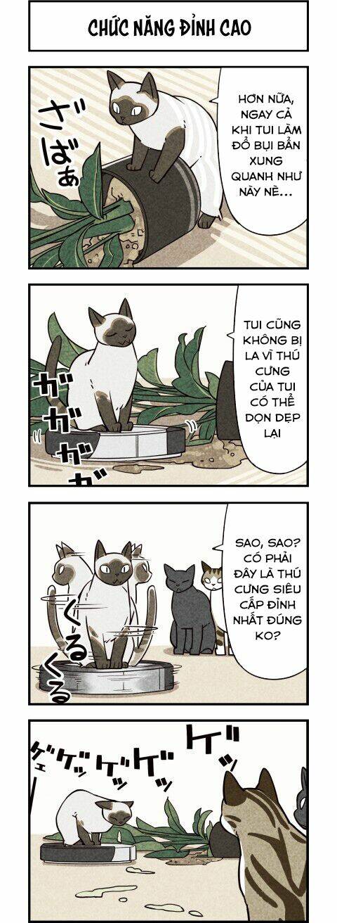 We Are Cat: Chapter 10