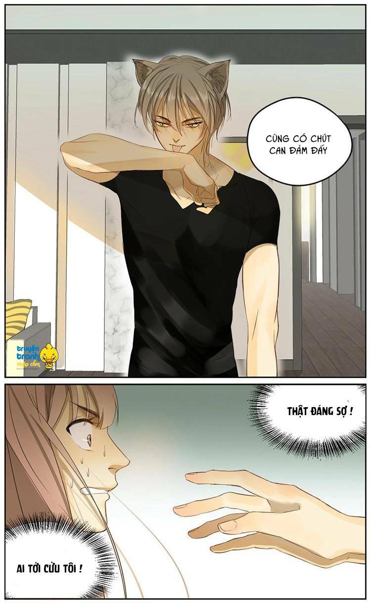 Cứu mạng ! Loài mèo thống trị thế giới rồi !: Chapter 4