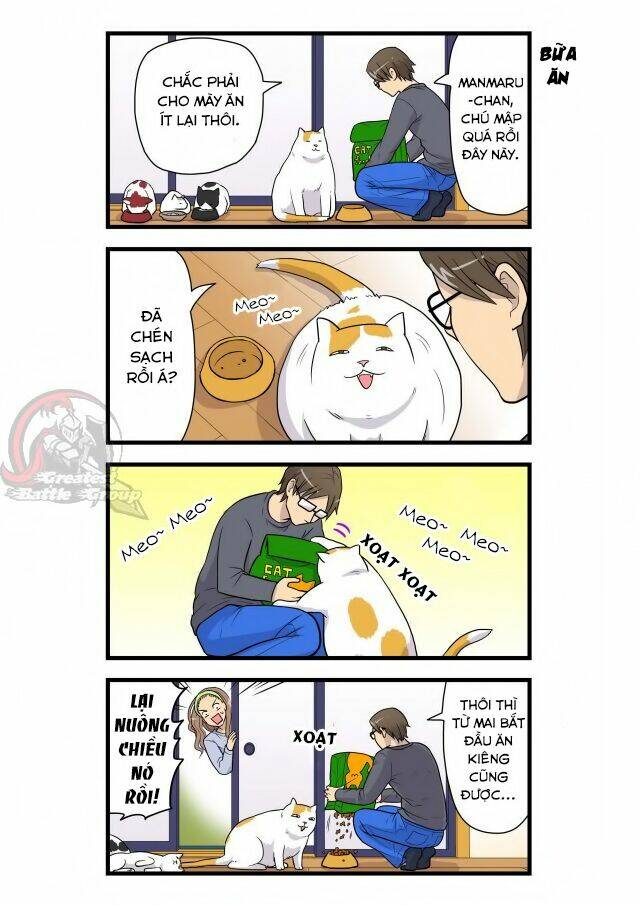 Cat is silver vine: Chapter 3