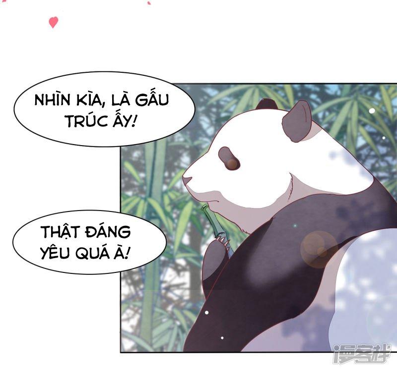 Xuyên Về Cổ Đại Làm Quốc Bảo: Chapter 0
