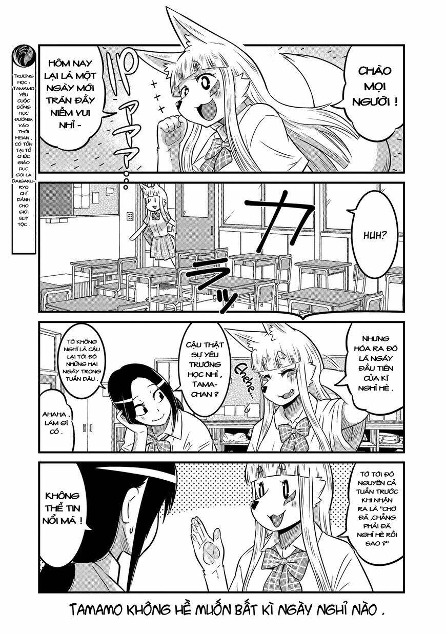 High School Inari Tamamo-Chan: Chapter 16