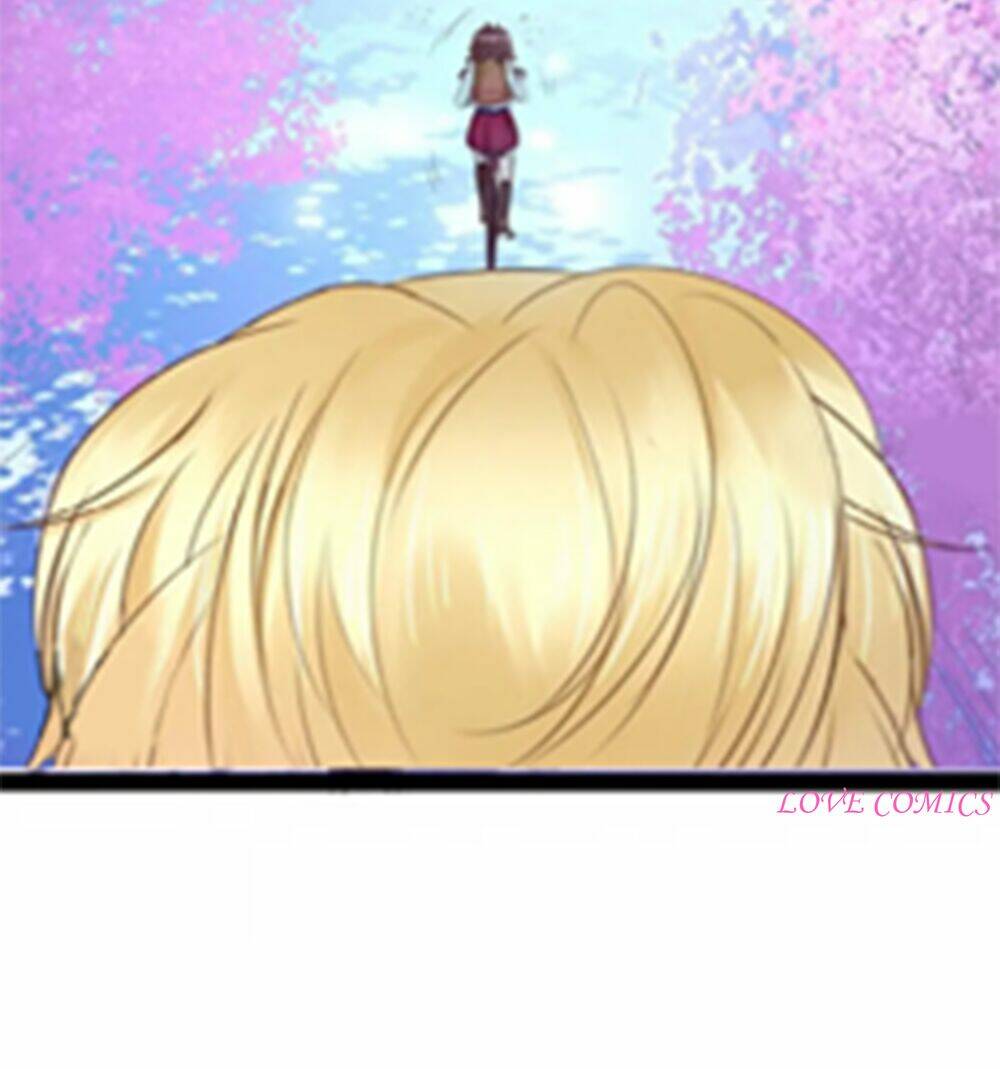 Tình Yêu Bốn Mùa: Chapter 2