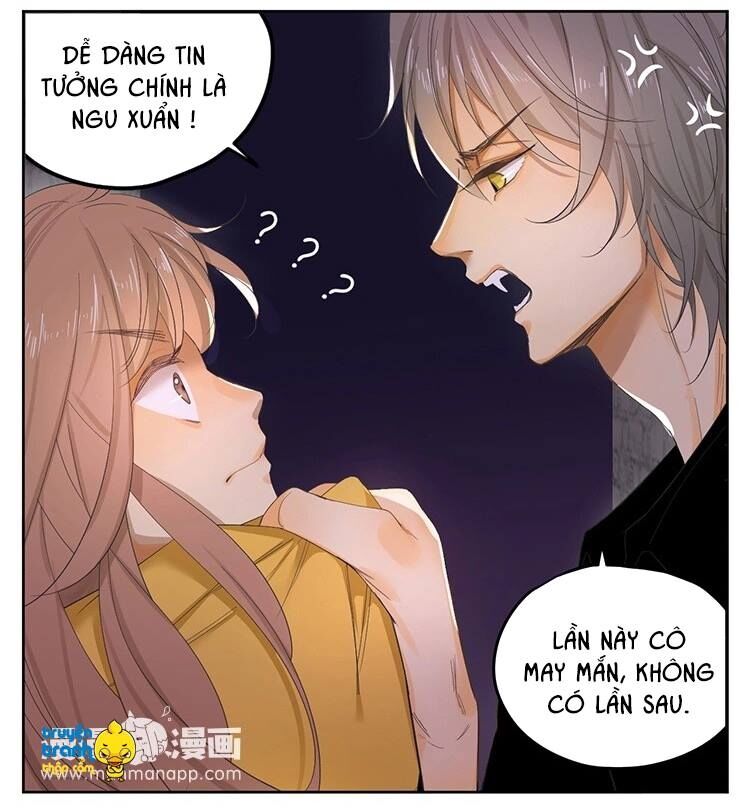 Cứu mạng ! Loài mèo thống trị thế giới rồi !: Chapter 21