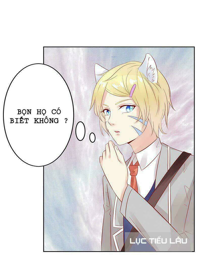 Băng Sơn Học Trưởng Không Được Chọc: Chapter 15