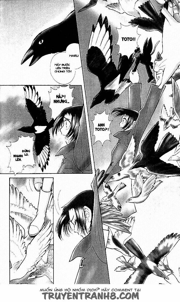 Lời Thì Thầm Từ Trái Tim: Chapter 9