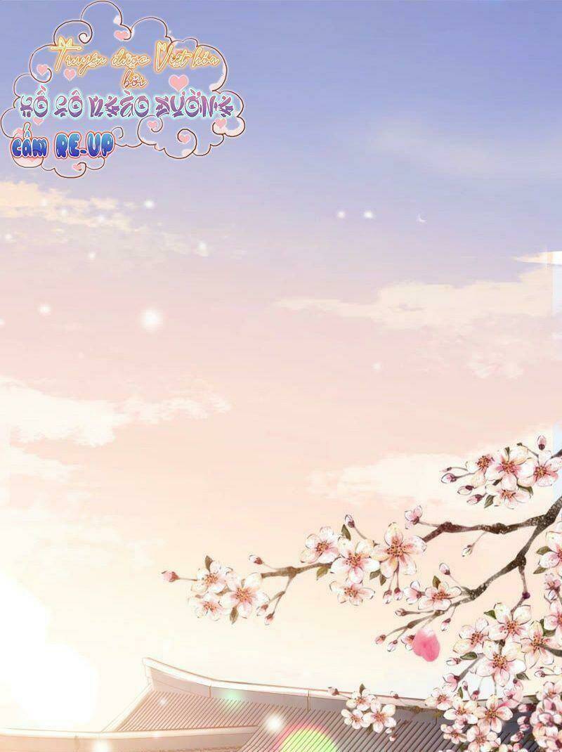 Quận Chúa Vững Vàng, Thiết Lập Nhân Vật Không Thể Vỡ: Chapter 10