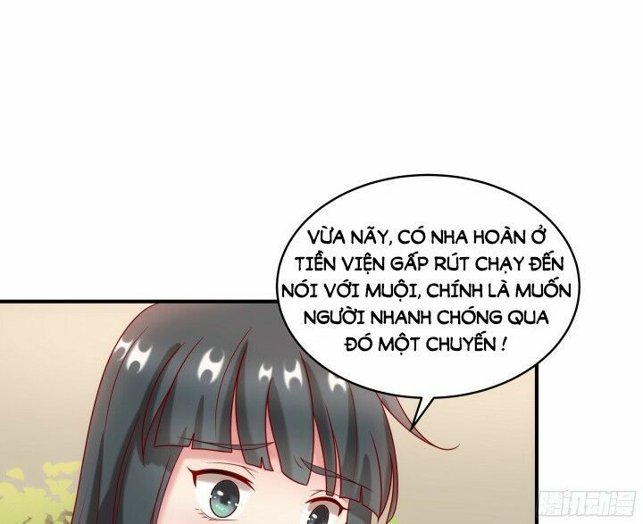 Đô đốc đại nhân sủng thê kí: Chapter 8.1