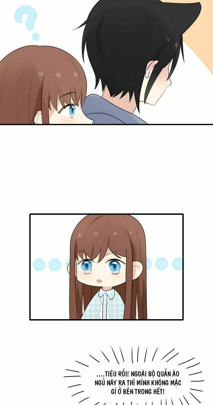 Tiểu Miêu Và Hắc Diệu Thạch: Chapter 1